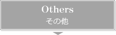 Others　その他