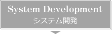 System Development　システム開発